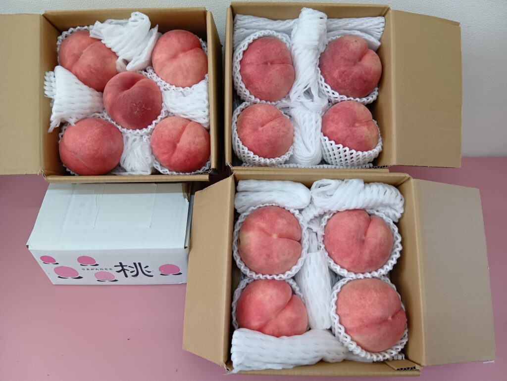 今年も素敵な桃をいただきました！